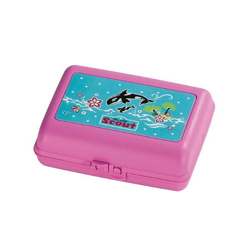 Scout Snack Box - Orca