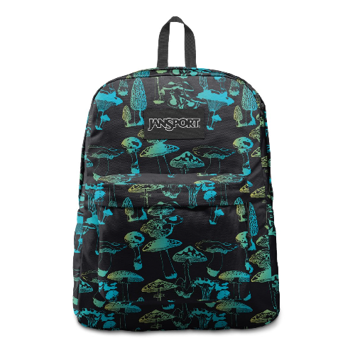 Jansport 2024 city stars